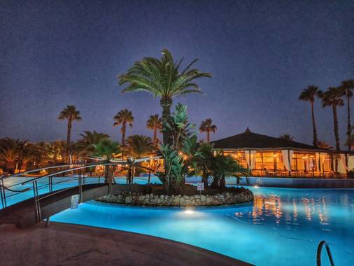 Luisinhorf en Hamelin: Flora  (Isla Cristina), Palmera iluminada en la noche rodeada de la piscina .
