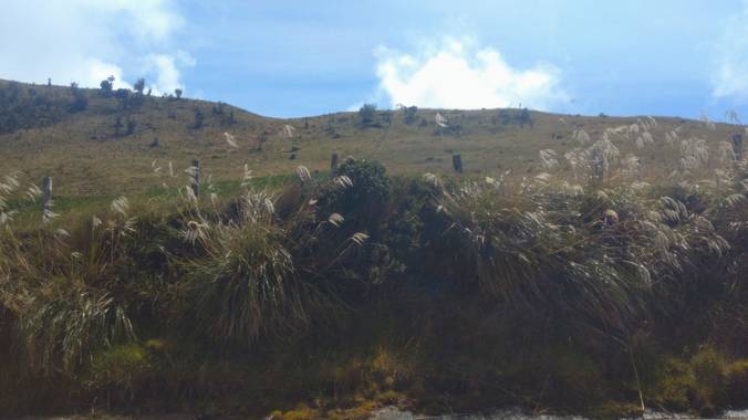 Ariaslorena89 en Hamelin: Paisaje  (Manizales), #paramos 
