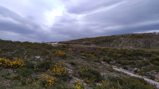 David en Hamelin: Paisaje  (A Cañiza), #paisaje