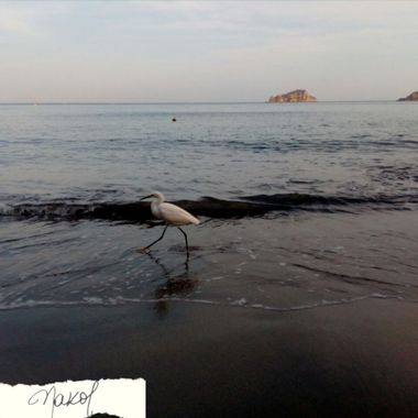 Nadiakarinaolivares en Hamelin: Paisaje  (Santa Marta), Paseando por la playa 😊
#naturaleza #aves21 #santamarta #colombia #paisaje #paisajesnaturales #cum...