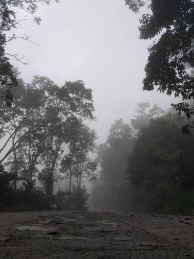 Zaynab en Hamelin: Paisaje, Neblina