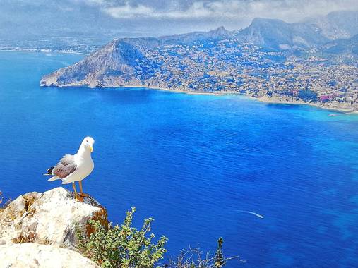 Helenbell33 en Hamelin: Paisaje  (Calpe), Cima del #peñondeifach
Calpe
