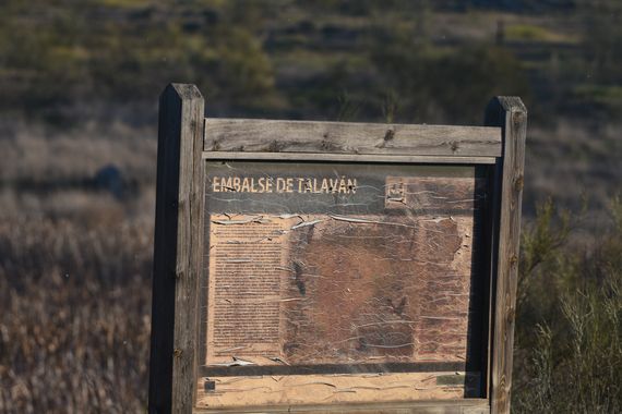 Info en Hamelin: Paisaje, Avistamiento de aves en el embalse de Talavan