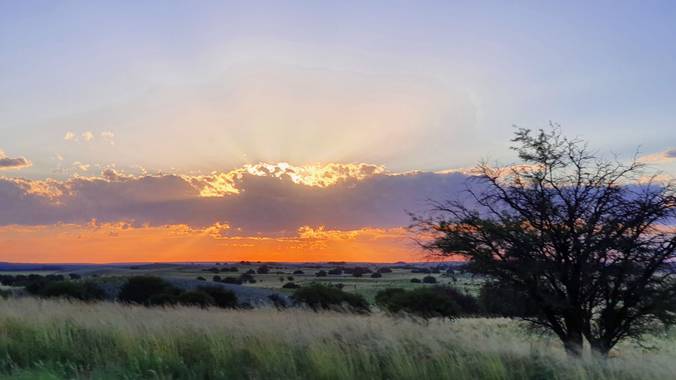 Claudiacarrizoleon en Hamelin: Paisaje 