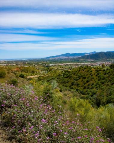 PEROMA_PHOTO en Hamelin: Paisaje  (Cártama), Vistas desde el interior de la Estación de Cartama 