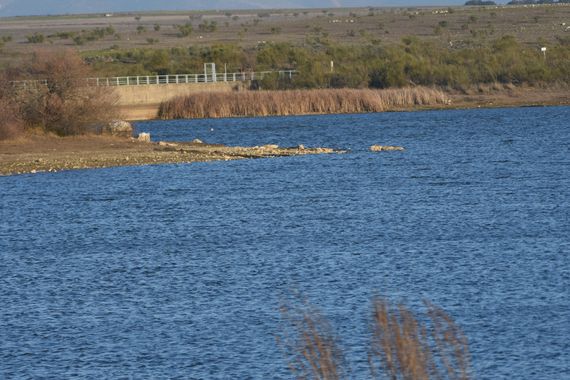 Info en Hamelin: Paisaje  (Talaván), Avistamiento de aves en el embalse de Talavan
