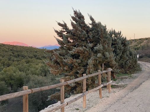 isabeljl0402 en Hamelin: Paisaje  (Torredelcampo), #viaverdedelaceite#jaen