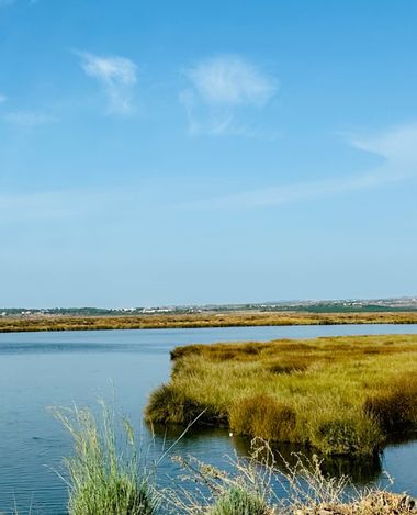 su en Hamelin: Paisaje  (Faro), #paisaje #agua