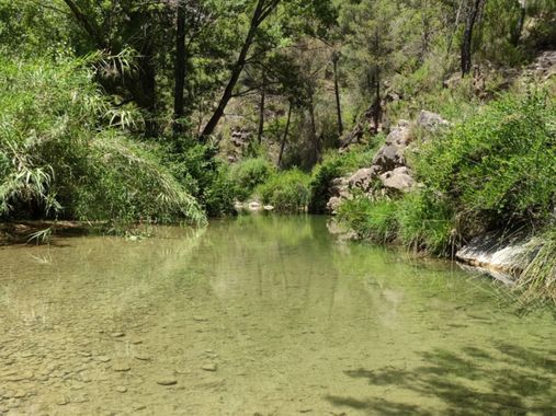 aidalzira en Hamelin: Paisaje  (Castillo de Villamalefa), Un paraíso escondido en el interior de Castellón, río Villahermosa Cedraman 