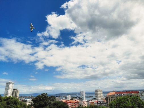 Mpinfante en Hamelin: Paisaje, And This one goes to H@melin 🐦☁️☁️☁️☁️

Felices vacaciones de mi parte ☘️☘️☘️☘️☘️
