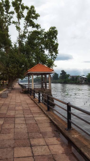 Almudenaazul en Hamelin: Paisaje  (Tigre)