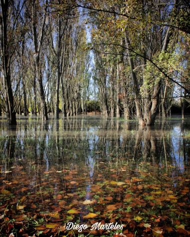 Diego en Hamelin: Paisaje  (Zaragoza), #otoño #agua #paisaje 