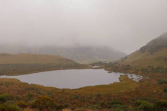vanesaabadr en Hamelin: Paisaje  (Manizales), Laguna negra, vía al nevado del Ruiz o el Kumanday.

#paisajeacuatico #paisajecolombiano #paisajedecolombia #...