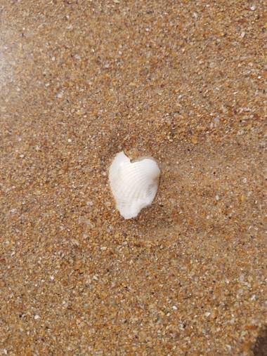 Alquimia Natural en Hamelin: Paisaje  (Ribamontán al Mar), Corazoneando en la playa 💕