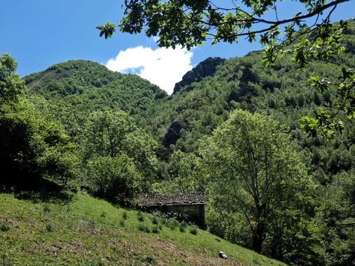 mariale en Hamelin: Paisaje  (Caso), 📸 #marialemdza
💚 🌿🌳🌿💚
#CumpleHamelin
#Naturaleza #BellezaNatural #Asturias  #Montaña #trees #árboles #forest #bo...