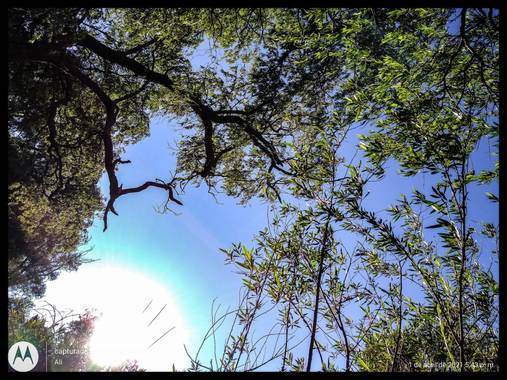 alincithask8.hdezglez en Hamelin: Paisaje, #fotocelular #paisajes   #tlaxcalitalabella  #tlaxcalitalabella    #sol