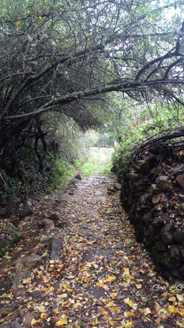 Geñi en Hamelin: Paisaje  (Truchas), #caminosrurales