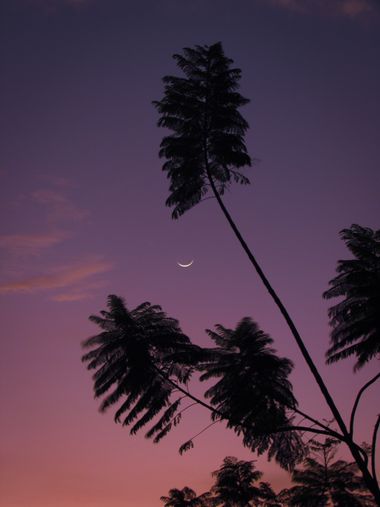 Dimaswaterlover en Hamelin: Paisaje  (Medellín), #moon #sunset #photography #nature 