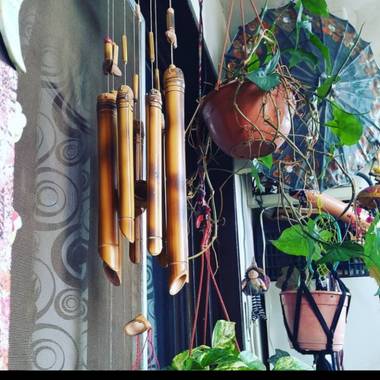 GrachuV. en Hamelin: Flora, Jardín