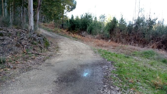 David en Hamelin: Paisaje  (Ponteareas), #paisaj