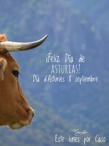 mariale en Hamelin: Fauna, “El lugar que amamos, ése es nuestro hogar; un hogar que nuestros pies pueden abandonar, pero no nuestros corazones.”
Oliver We...