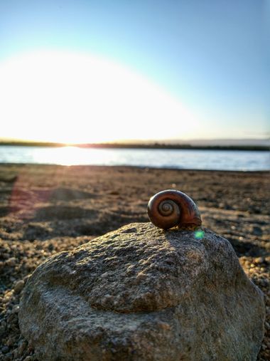 Daiqui en Hamelin: Paisaje  (Villa Rumipal), #caracol #agua #lago #dique #paisaje #atardecer 