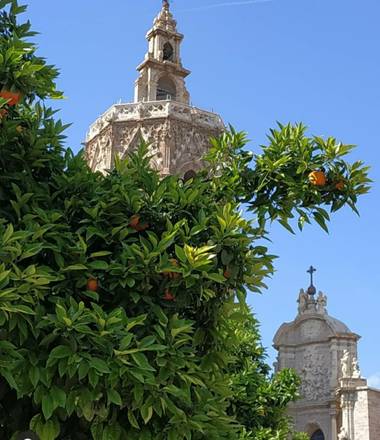 Maite  en Hamelin: Flora  (València), #ParquesyJardines 
