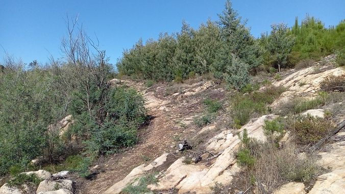 David en Hamelin: Paisaje  (As Neves), #paisajes