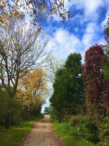 yolaidap en Hamelin: Paisaje  (Vigo), Enamorada de mi tierra gallega#hamelin@ Galicia me encanta💚🌷🍂🍃🌿