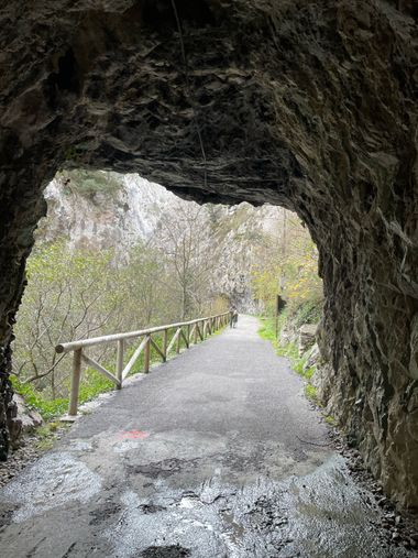 Marisol en Hamelin: Paisaje, La senda del oso 