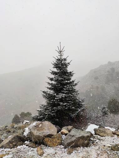 Sararp14 en Hamelin: Paisaje  (Ronda), #invierno20