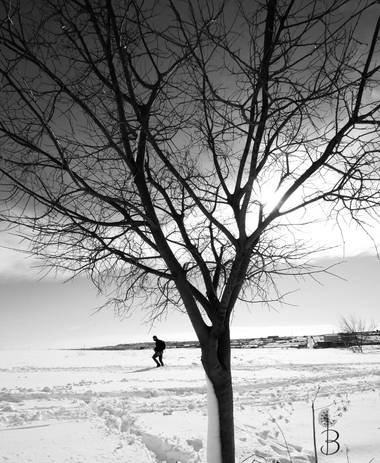 Conbyconv en Hamelin: Paisaje  (Fuenlabrada), #paisaje20  #invierno20