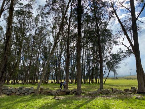 castilj5 en Hamelin: Paisaje  (Bojacá)