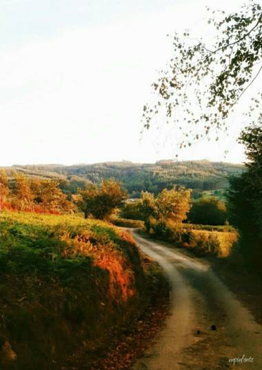 Mpinfante en Hamelin: Paisaje  (Cesuras)