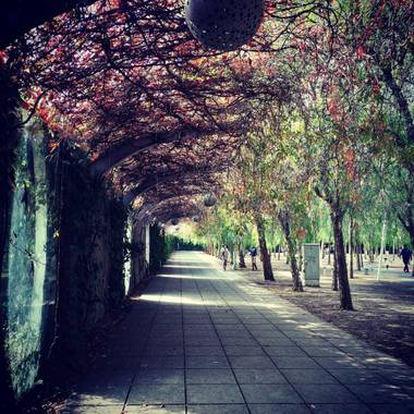 Moniwachikei en Hamelin: Paisaje  (Barcelona), Un cuento de hadas en poblenou #ParquesyJardines