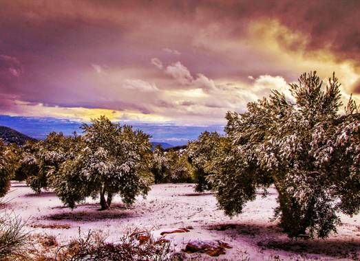 Pedroadriano1959 en Hamelin: Paisaje  (Granada), #paisaje #naturaleza #amelin.official #photography #photographer #invierno20