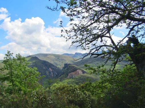 Mivilor68 en Hamelin: Paisaje  (Priaranza del Bierzo), Por rutas del Bierzo
#bierzo 