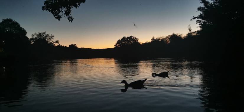 rue en Hamelin: Paisaje  (Compostela), Tarde en el Lago #PickDelDía