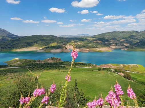 Apasnau75 en Hamelin: Flora  (Zahara), #primavera22 
He aquí estas plantas con un fondo espectacular. Se les llama boca de dragón por la peculiar forma de ...