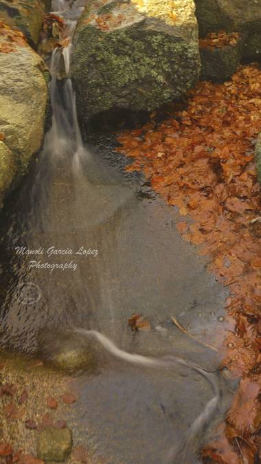 Logarma en Hamelin: Paisaje  (Montseny), #parquenaturaldelmontseny