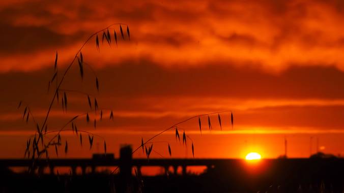 Lidia en Hamelin: Paisaje  (Zaragoza), El cielo cayó, el cielo se convirtió en fuego!

#cielos
#cielosrojos
#atardecer
#pasion_natura 