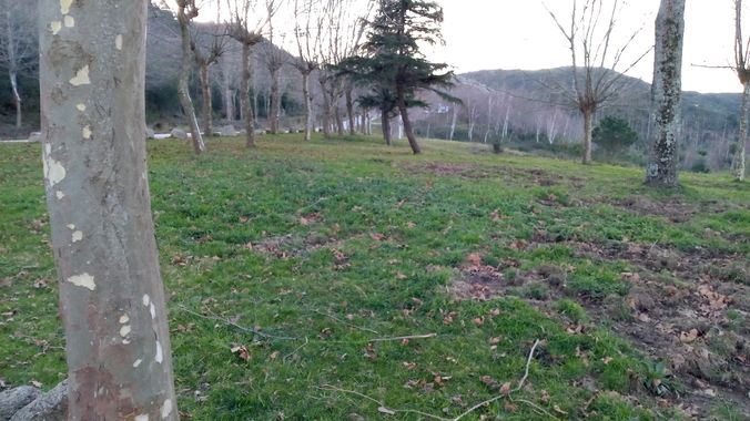 David en Hamelin: Paisaje  (Vigo), #paisaje #vigo #verde #naturaleza #Galicia 
