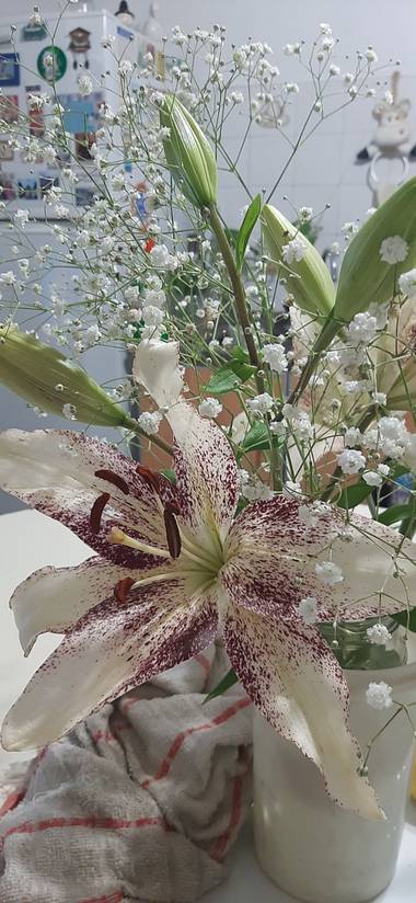 Yami2132 en Hamelin: Flora  (Lomas de Zamora), .