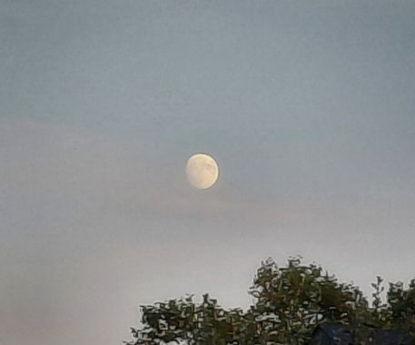 Mpinfante en Hamelin: Paisaje, De momento no se queja de que no le haga justicia con la foto. Creo que es un objetivo fotográfico estupendo...  Pero no pa...