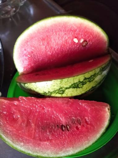Vito.luciano51 en Hamelin: Flora  (Ciudad de Buenos Aires), Citrullus lanatus, #Sandia #frutasdetemporada #verano2021 #Argentina