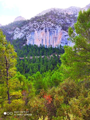 Rojo_RcT en Hamelin: Paisaje  (Murcia), Fotografía del paraje de piedra lisa en la Sierra de Ricote