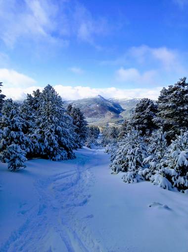 Judit en Hamelin: Paisaje 