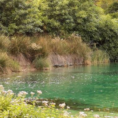 Lasonymegamas en Hamelin: Paisaje  (Ruidera), Laguna