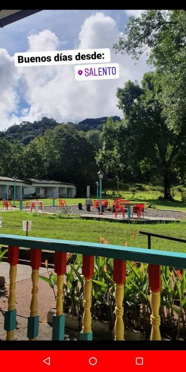 Fomentomedioambienteyeducacion en Hamelin: Paisaje  (Calarcá), #parquesyjardines #Flora #Fauna #paisajes 

De Colombia para el mundo