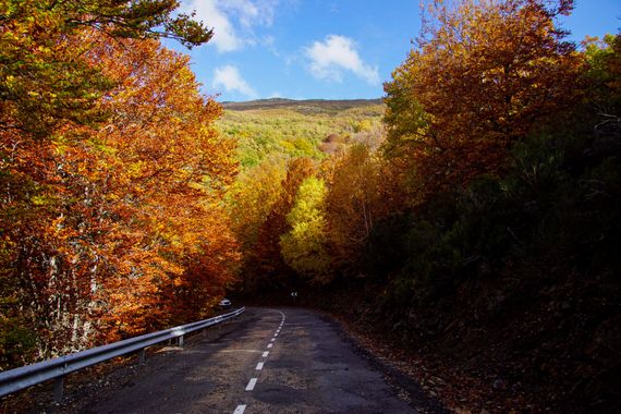 Davrod2 en Hamelin: Paisaje, Autumn road #Otoño #Paisajes